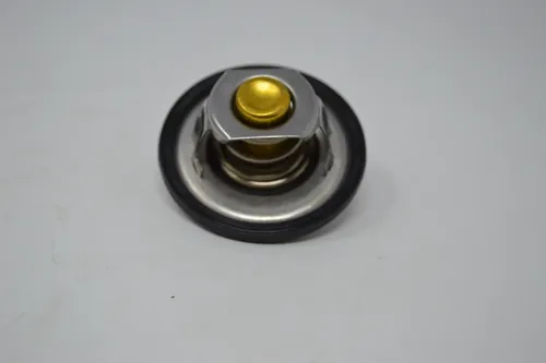 6a66980b87aaa38d518bb525_D_674717-MLV113625545845_062026-O.jpg