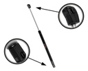 Gato Fiesta Balita 00-05/ tauros S240mm L575mm N250