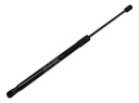 Gato Compuerta Izquierdo Santa Fe 06-12 S170mm L452mm N660